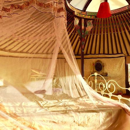 Exclusive Nirvana Yurts Glamping Kato Drys Exterior foto
